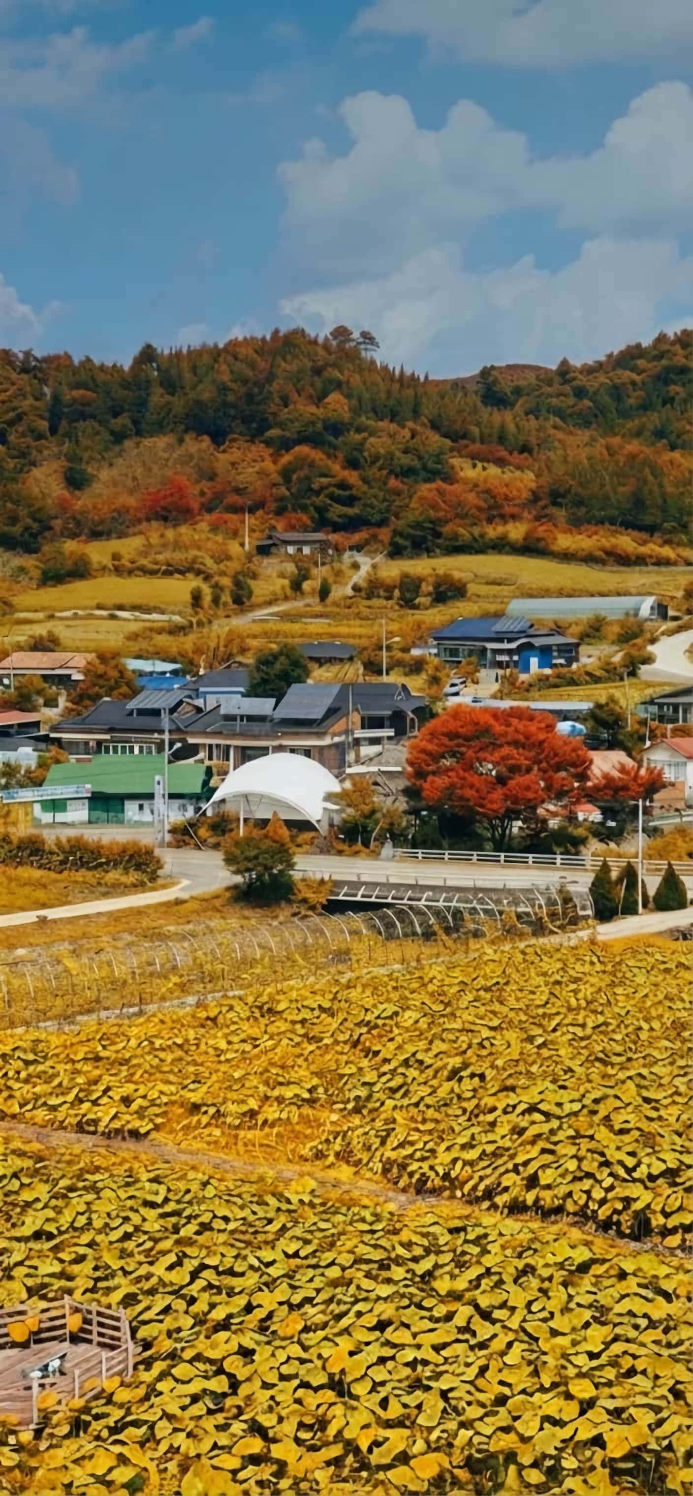로그인 배경