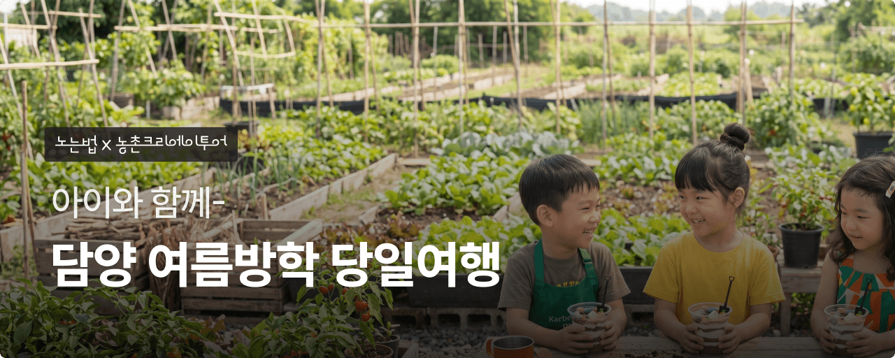 담양 여름 당일 패키지