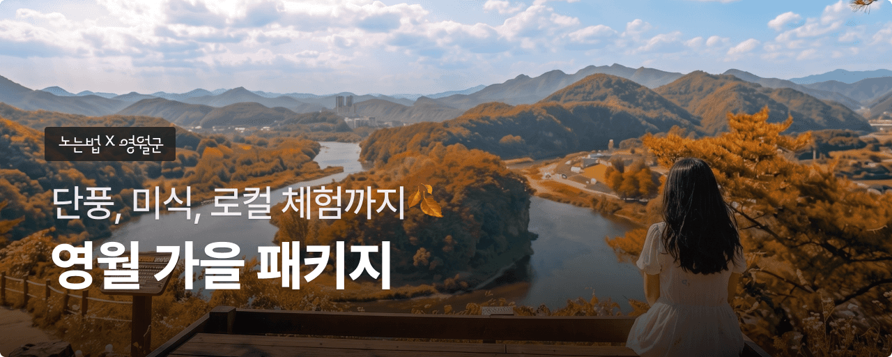 영월 가을 패키지여행 모음전