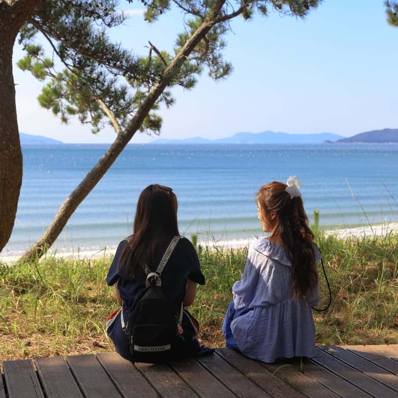 [완도/1박] 울모래 소리산책ㅣ바다유리 공예+완도의 부엌+바다치유길 🌊 사진 4