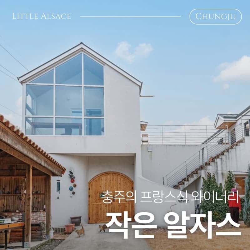 [충주/당일] 한국의 프랑스에서, 충주 미식 패키지🍷ㅣ수룡폭포+와인테이스팅+페어링디너 사진 2