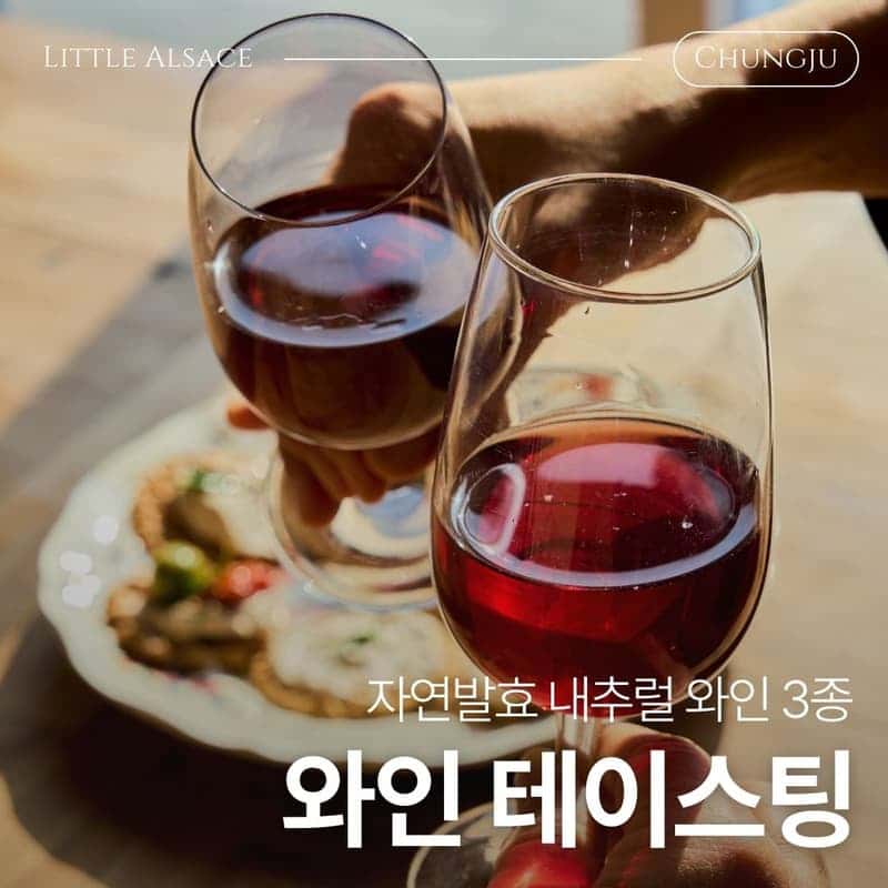 [충주/당일] 한국의 프랑스에서, 충주 미식 패키지🍷ㅣ수룡폭포+와인테이스팅+페어링디너 사진 3