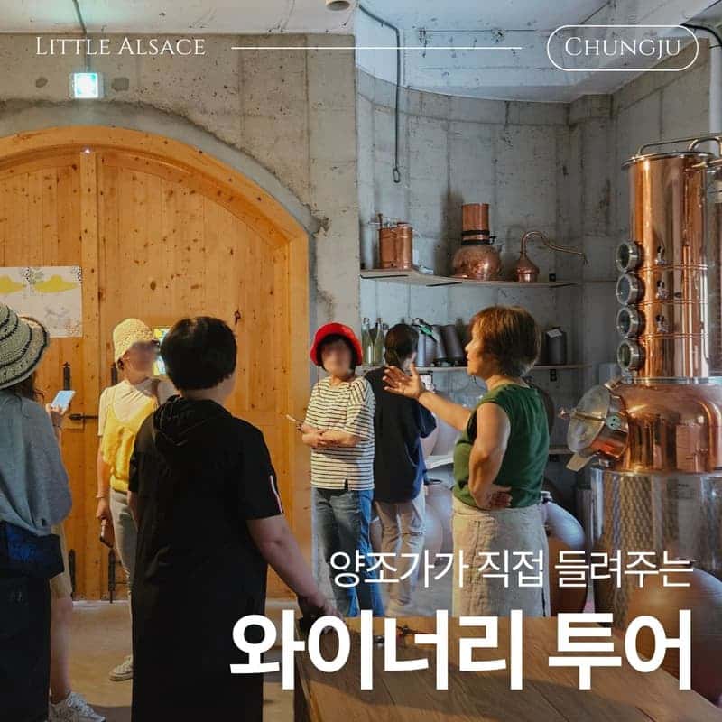 [충주/당일] 한국의 프랑스에서, 충주 미식 패키지🍷ㅣ수룡폭포+와인테이스팅+페어링디너 사진 4
