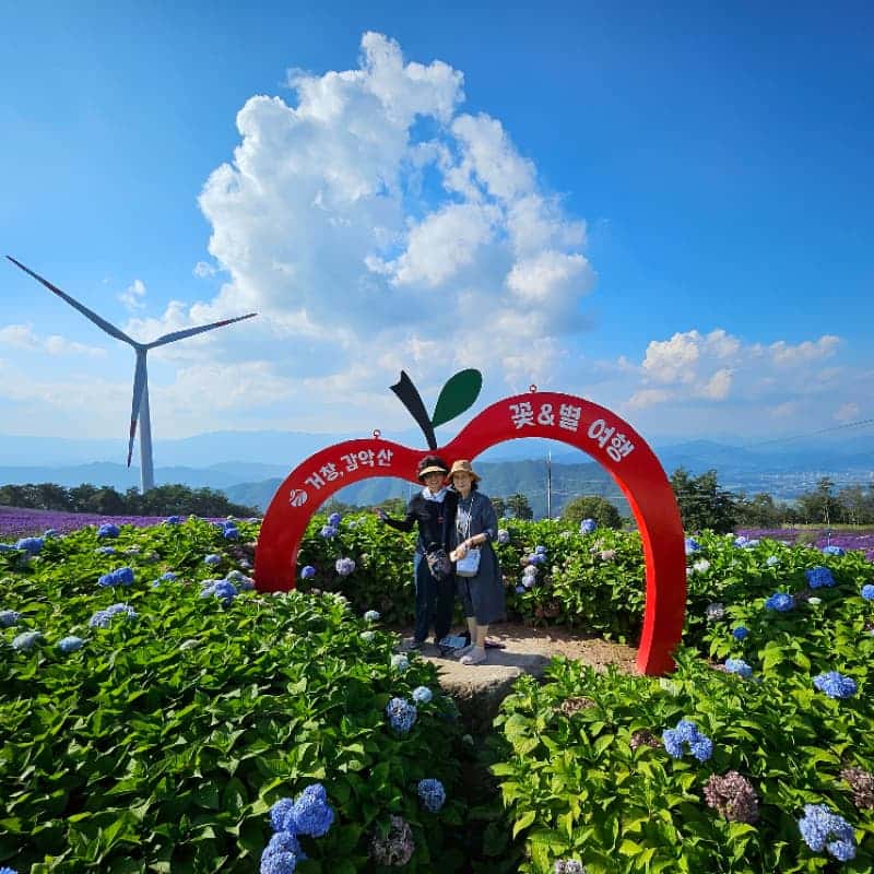 [거창/1박] 초여름에 머무는 🌿숲길투어🌿 신비한 웰니스 거창 패키지여행 사진 6