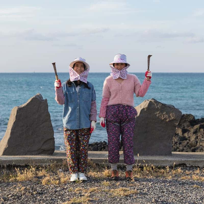 [제주/당일]금능 해녀 블루스ㅣ마을투어+갯닦이+낭푼밥 새참 사진 3