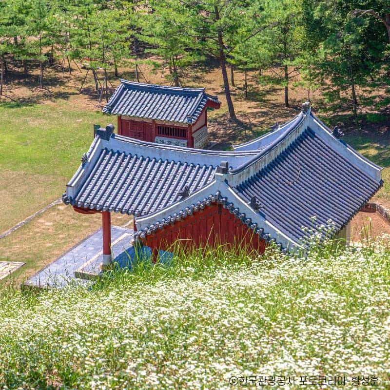 [영월/1박] 영월로 마실路 ㅣ 리버버깅+영월투어+수라상+와인족욕 🏄💦 사진 5