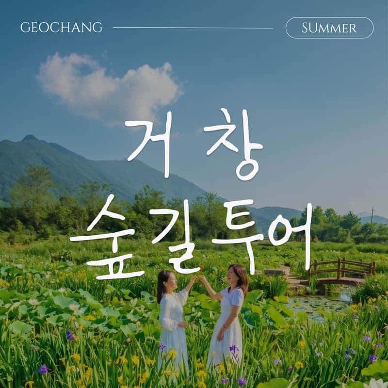 [거창/1박] 초여름에 머무는 🌿숲길투어🌿 신비한 웰니스 거창 패키지여행