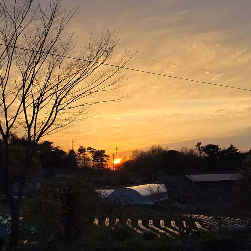 [남원/1박]지리산 숲속 어드벤처 ㅣ 짚라인+흑돈 바베큐+산나물피크닉 사진 7