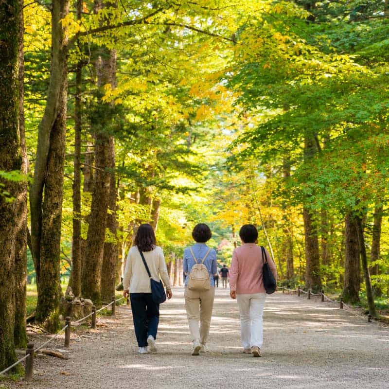 [부안/1박] 쉼을 위한 아날로그 여행, 부안 동행트립 ㅣ 내소사+채석강+허브테라피 💗 사진 2