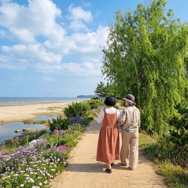 [부안/1박] 쉼을 위한 아날로그 여행, 부안 동행트립 ㅣ 내소사+채석강+허브테라피 💗 사진 4