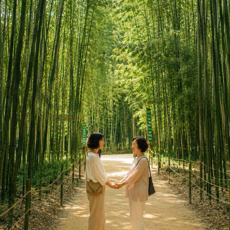 [담양/당일] 귀로 듣는 웰니스 여행 ㅣ 담양 대나무숲 테라피 (왕복기차 포함) 🎧🎋 사진 3