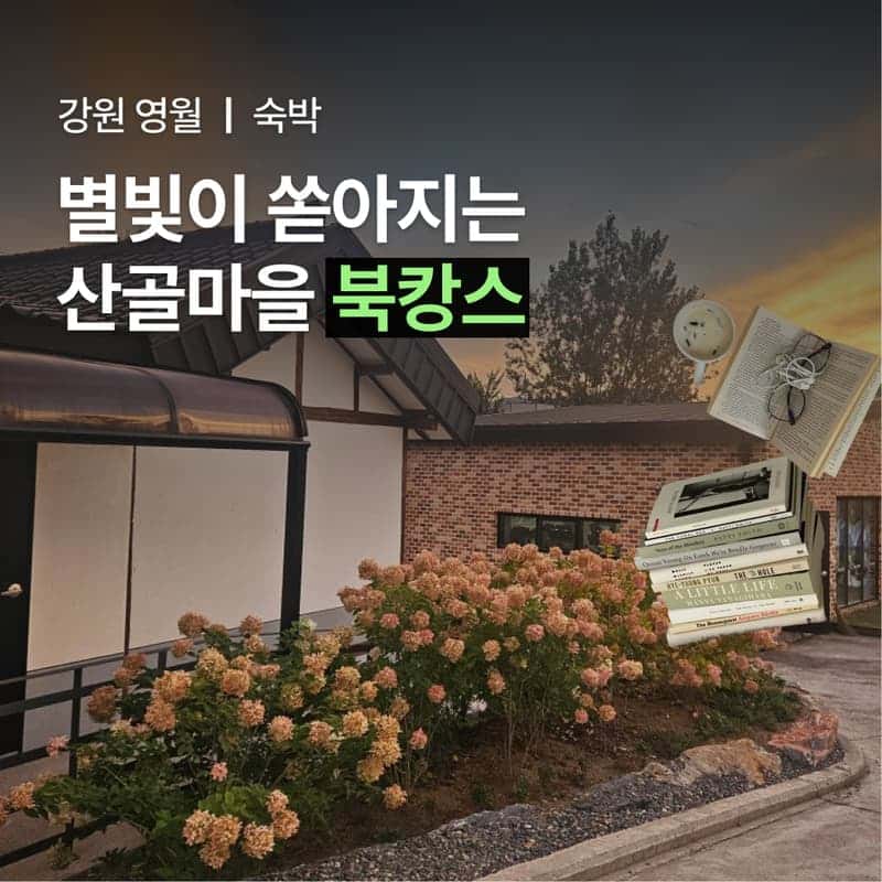 [영월/산골스테이] 별빛산책 산골마을 북캉스 '삼돌이로살아보기' 🍵📗