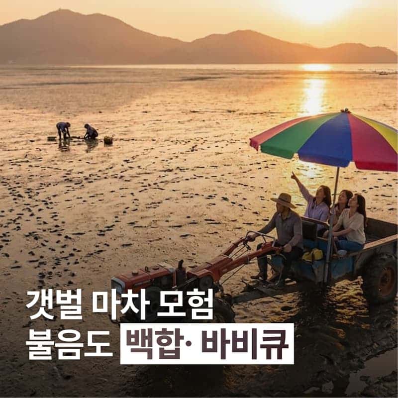 [인천/1박] 갯벌마차 타고 백합과 저어새를 만나는 자연의 섬, 볼음도 여행