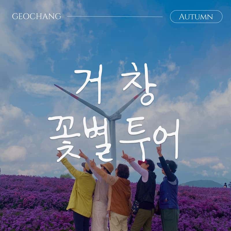 [거창/1박] 가을에 머무는 거창 꽃별투어 │ 국화축제 · 온천 · 로컬체험 · 3식 사진 1