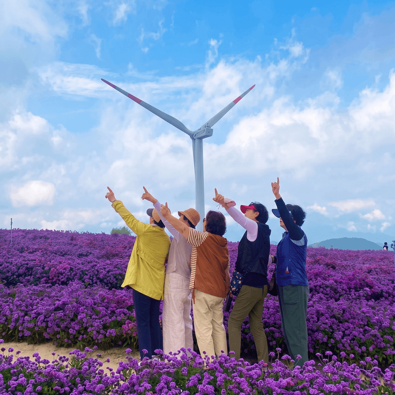 [거창/1박] 가을에 머무는 거창 꽃별투어 │ 국화축제 · 온천 · 로컬체험 · 3식 사진 5