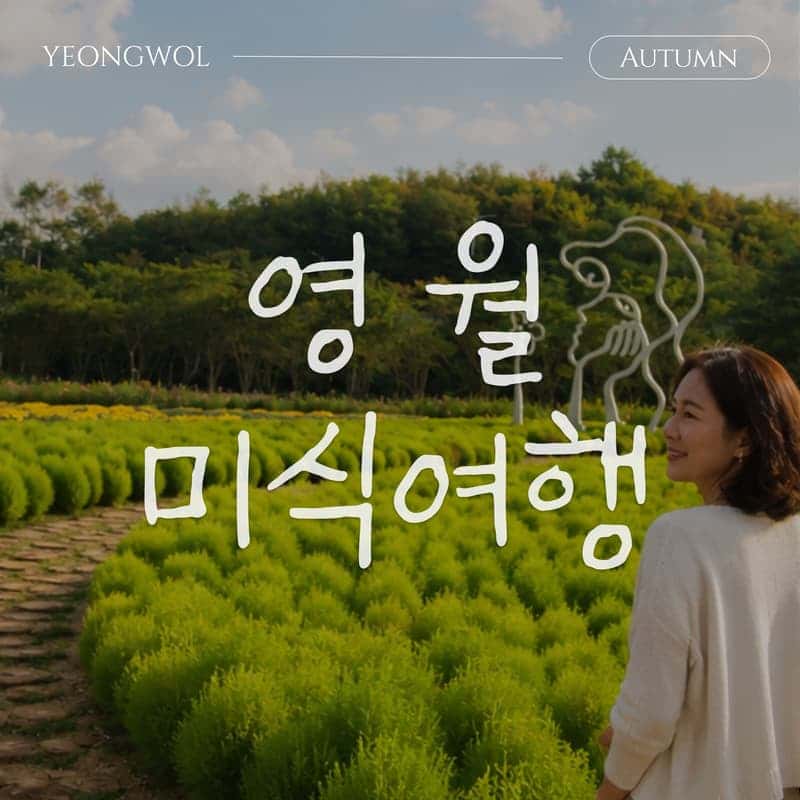 [영월/1박] 영월네끼 로컬 미식 패키지  | 식사4식 · 로컬체험3종 · 호텔1박 🥢
