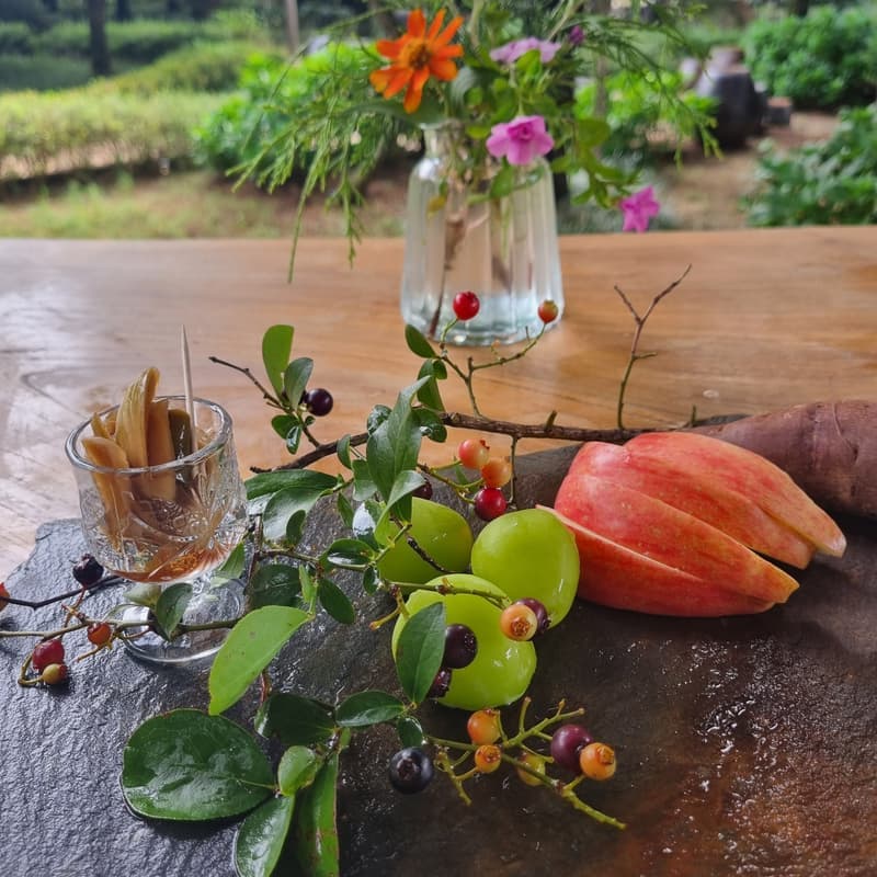 [구례/1박] 지리산 풍경, 향나무숲정원+걷기명상+식사1끼🌲 사진 5