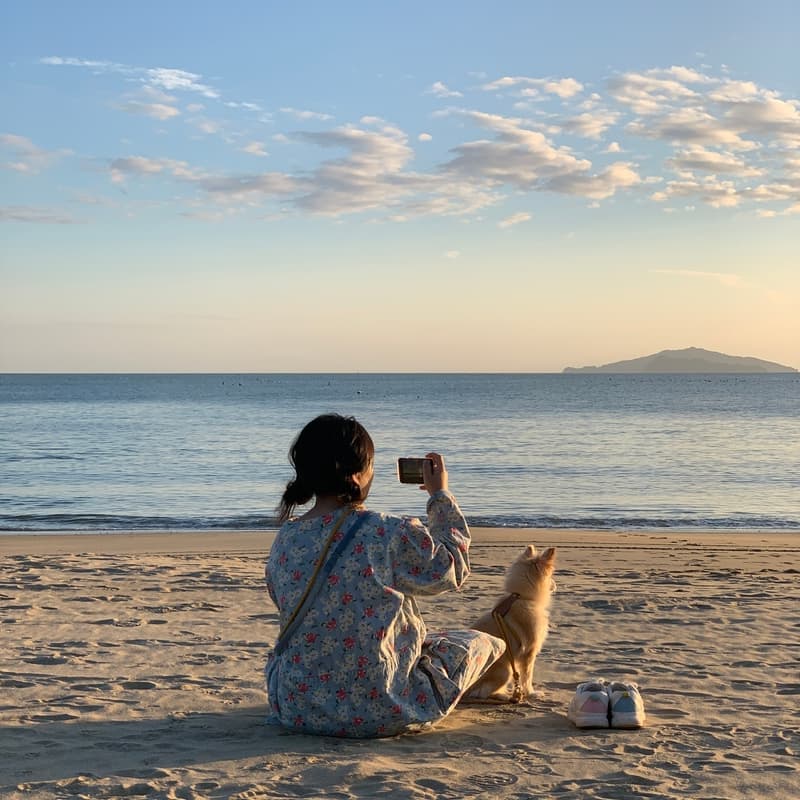 [완도/1박] 울모래 소리산책ㅣ바다유리 공예+완도의 부엌+바다치유길 🌊 사진 3