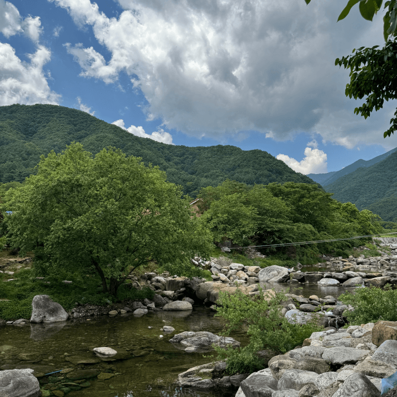 [거창/당일] 빙기실마을 & 계곡에서 즐기는 피서여행 🏝️ 수승대+백숙+깡통열차+족욕 사진 5