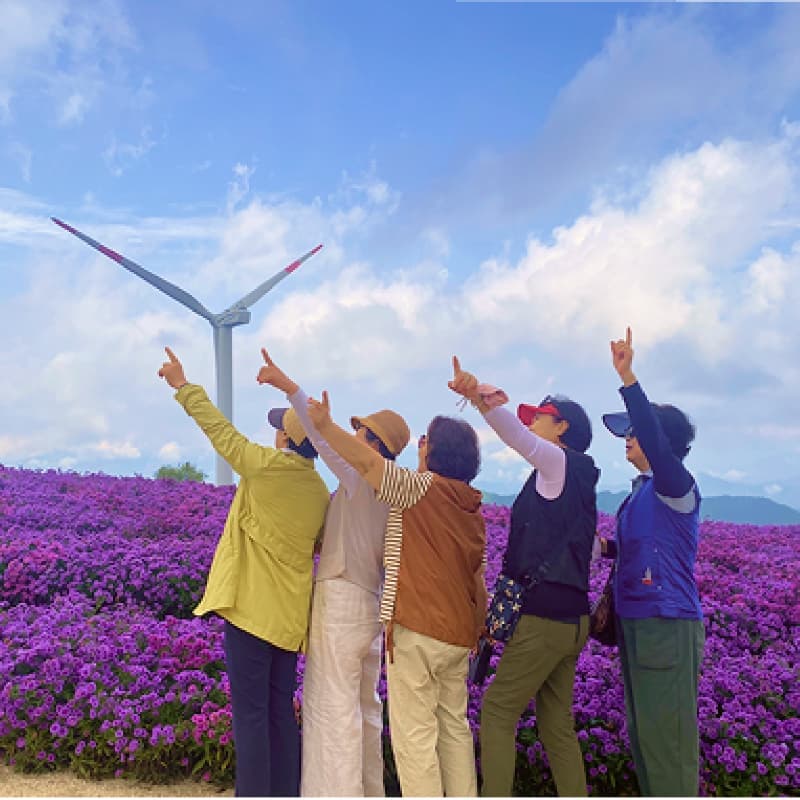 [거창/1박] 초여름에 머무는 🌿숲길투어🌿 신비한 웰니스 거창 패키지여행 사진 5