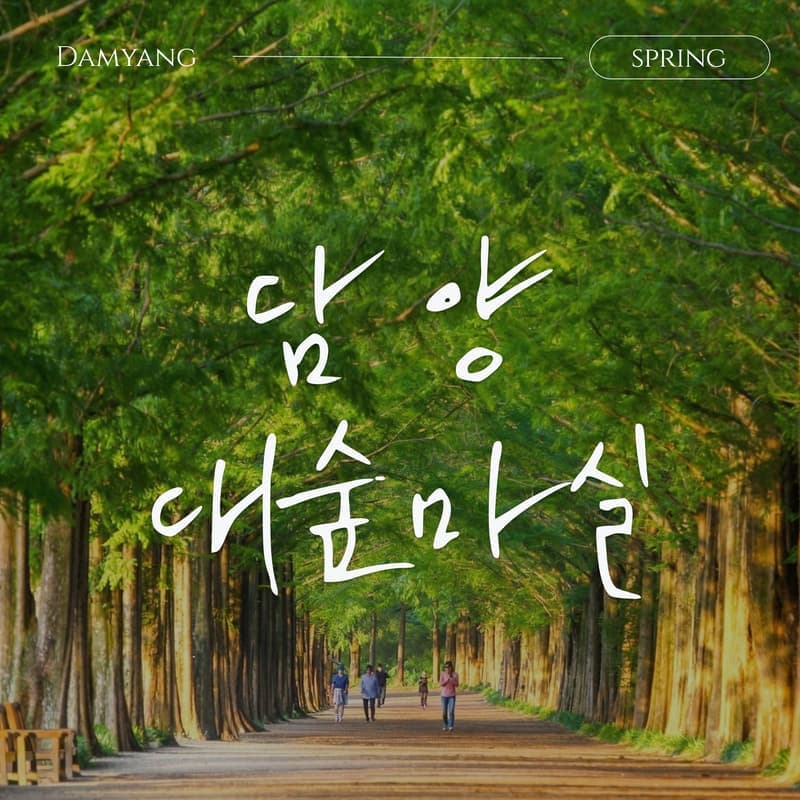 [담양/1박] 대숲마실 담양 패키지여행 ㅣ 죽녹원+메타세콰이아+남도미식🎋 사진 1