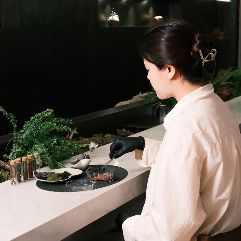 [제주/당일] 먹을 수 있는 숲ㅣ 테라리움 디저트+음료+홀아카이브전시 사진 1