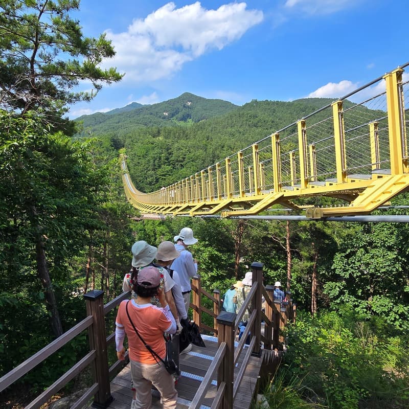 [거창/당일] 빙기실마을 & 계곡에서 즐기는 피서여행 🏝️ 수승대+백숙+깡통열차+족욕 사진 3