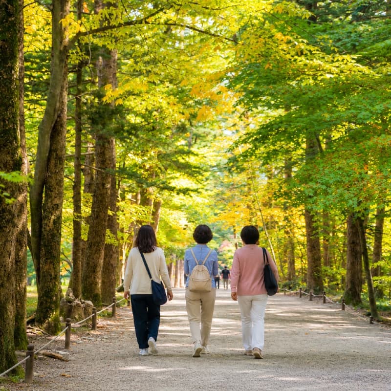 [부안/1박] 쉼을 위한 아날로그 여행, 부안 동행트립 ㅣ 내소사+채석강+허브테라피 💗 사진 2