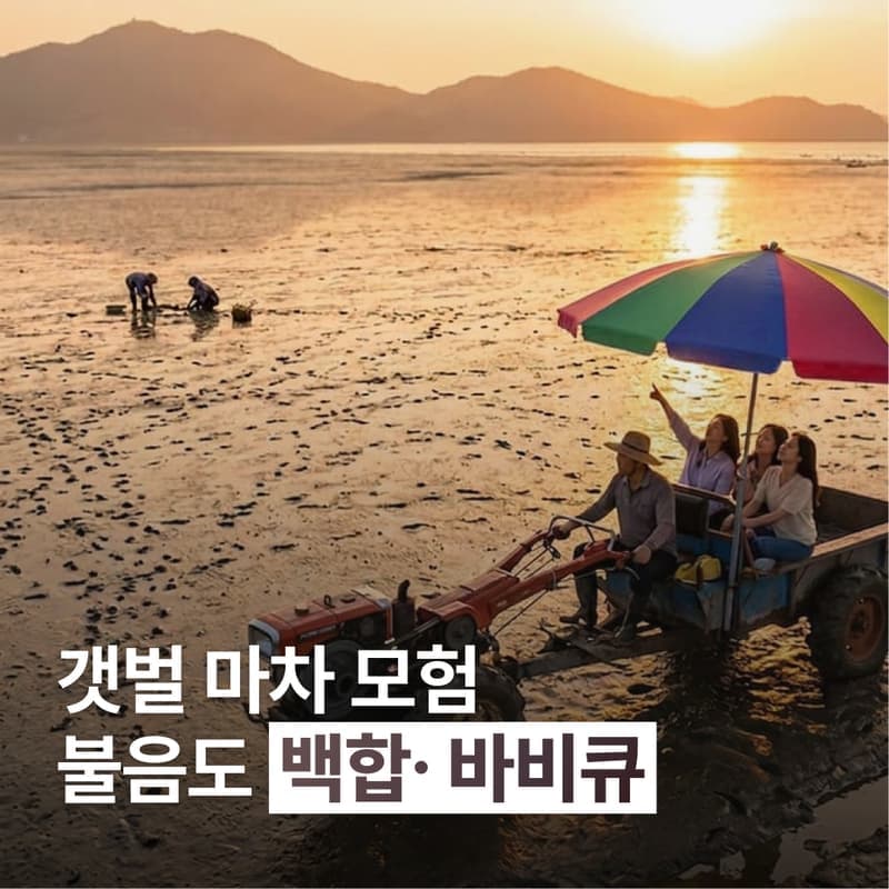 [인천/1박] 갯벌마차 타고 백합과 저어새를 만나는 자연의 섬, 볼음도 여행 사진 1