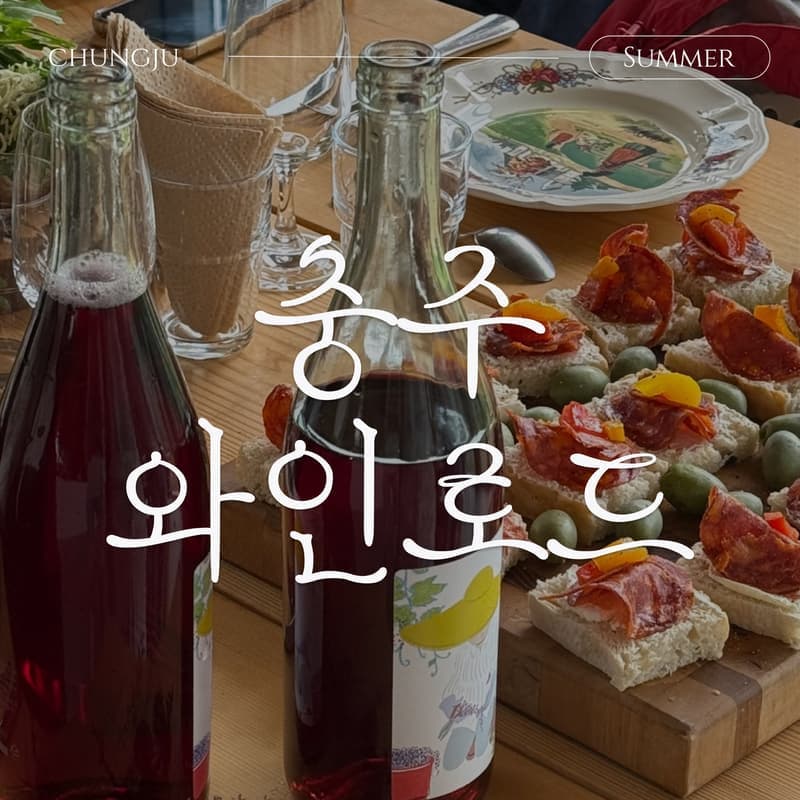 [충주/당일] 한국의 프랑스에서, 충주 미식 패키지🍷ㅣ수룡폭포+와인테이스팅+페어링디너 사진 1